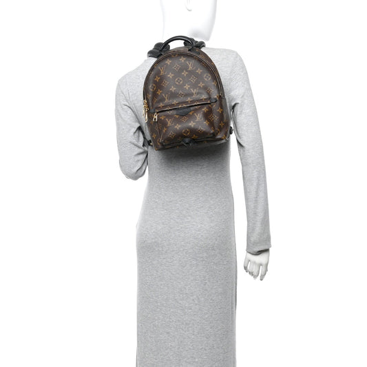 Monogram Palm Springs Backpack PM
